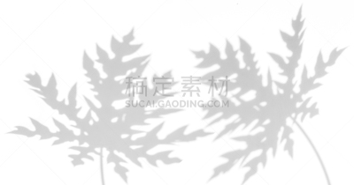 木瓜,阴影,叶子,水平画幅,形状,枝繁叶茂,无人,巨大的,夏天,户外