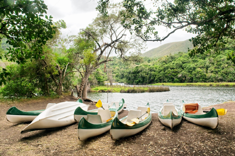 Group of boats on shore