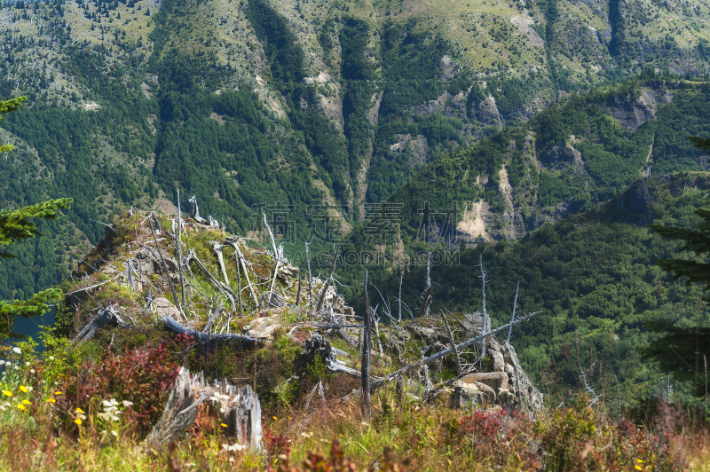 吉福德平肖国家森林,徒步旅行,水平画幅,岩石,地质学,无人,正上方视角,户外,植物,华盛顿州