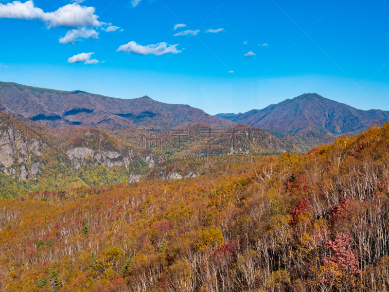 日本,山谷,风景,北海道,山,自然美,在底端,名声,居住区,获胜