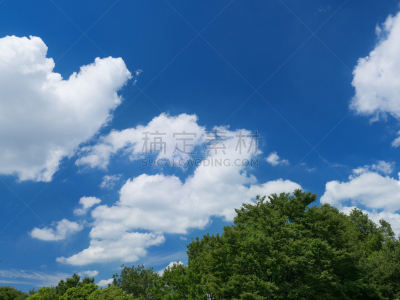 天空,蓝色,足立区,留白,公园,水平画幅,无人,夏天,户外,树