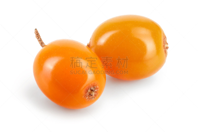 沙棘,浆果,熟的,大特写,清新,白色背景,分离着色,荆棘,白色,黄色