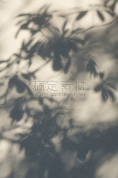 阴影,篱笆,垂直画幅,禅宗,无人,夏天,户外,光,单色调,泰国