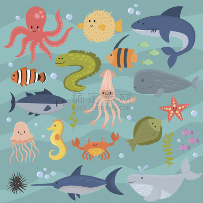 海洋生命,水下,水生动植物,水族馆,绘画插图,卡通,矢量,可爱的,动物