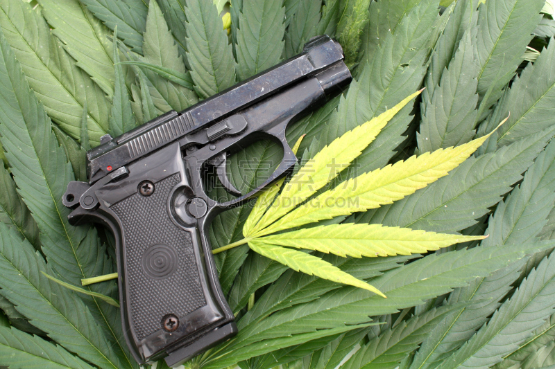 枪支,手枪,叶子,肉碎,水平画幅,无人,禁止的,武器,消遣性药物,植物