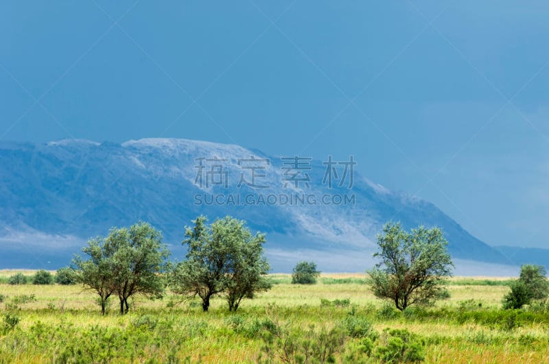 草原,东欧大草原,veldt,天空,水平画幅,山,无人,紫色背景,夏天,草