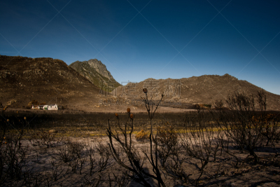 田地,地形,火,贝蒂湾,花园大道,森林火灾,水平画幅,无人,户外,山