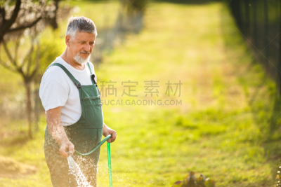 园艺,老年男人,男性美,注视镜头,泥土,草坪,干草叉,夏天,草,男性