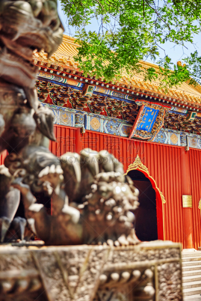 北京,都市风景,雍和宫,自然美,雍和宫店,喇麻庙,孔子,道教,垂直画幅,天空