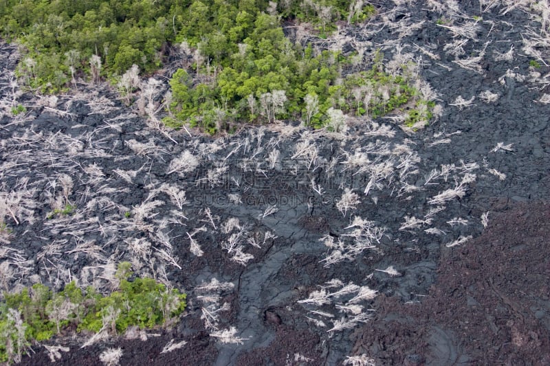 熔岩,森林,普乌欧火山口,几劳亚活火山,水平画幅,环境损害,热带雨林,户外,夏威夷大岛,植物