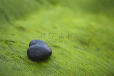 苔藓,鹅卵石,岩石,黑色,心型,美,水平画幅,湿,彩色背景,浪漫