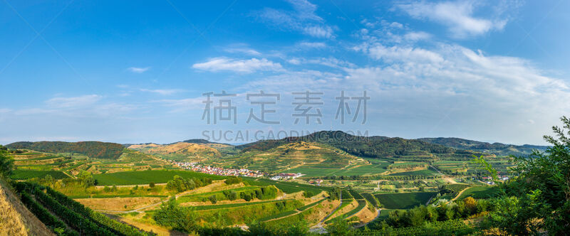 葡萄酒酿造,全景,德国,地形,商务,葡萄酒,著名景点,有蔓植物,葡萄酒厂,人行道