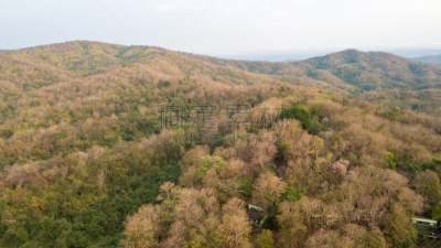 落叶树,水坝,诗丽吉王后,森林,山,热带气候,环境,泰国,枝繁叶茂,春天