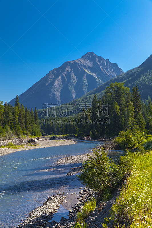 小溪,山,自然,垂直画幅,蒙大拿州,地形,无人,风景,美国冰河国际公园,摄影