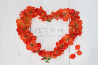 仅一朵花,木制,心型,背景,情人节,婚礼,白昼,概念,水平画幅,茶花