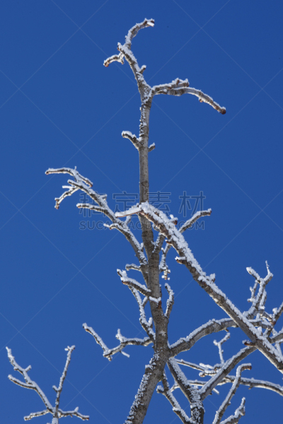 冬天,加拿大,垂直画幅,天空,雪,无人,户外,雪燕,戏剧性的天空,北美