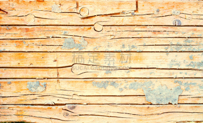 木制,古老的,涂料,背景,自然,式样,水平画幅,仿旧磨损的效果,无人,秃树