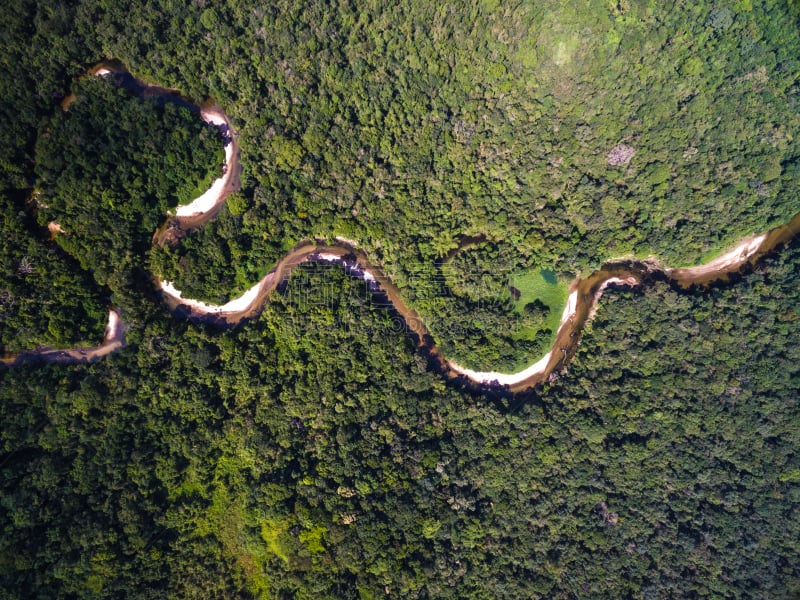 雨林,航拍视角,巴西,亚马逊河,亚马逊地区,流域保护区,亚马逊雨林,尼加拉瓜,马瑙斯,贝伦