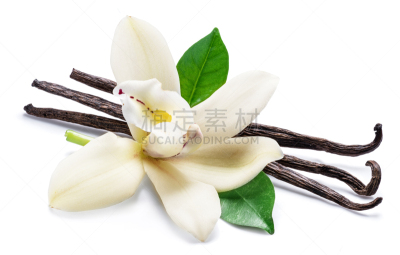 兰花,香草兰,干燥食品,滚铁环,芳香的,黄色,健康保健,白色背景,香料,乌克兰