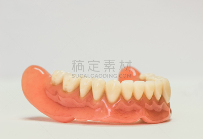 假牙,白色,口腔卫生,分离着色,石膏,人造的,牙冠,牙龈,水平画幅,牙医