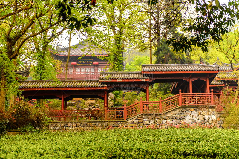 佛,灵性,贞德,寺庙,复杂性,最大,灵隐寺,瓷器