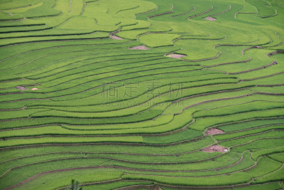 越南,北,水稻梯田,田地,水平画幅,地形,越南北部,无人,抽象,梯田