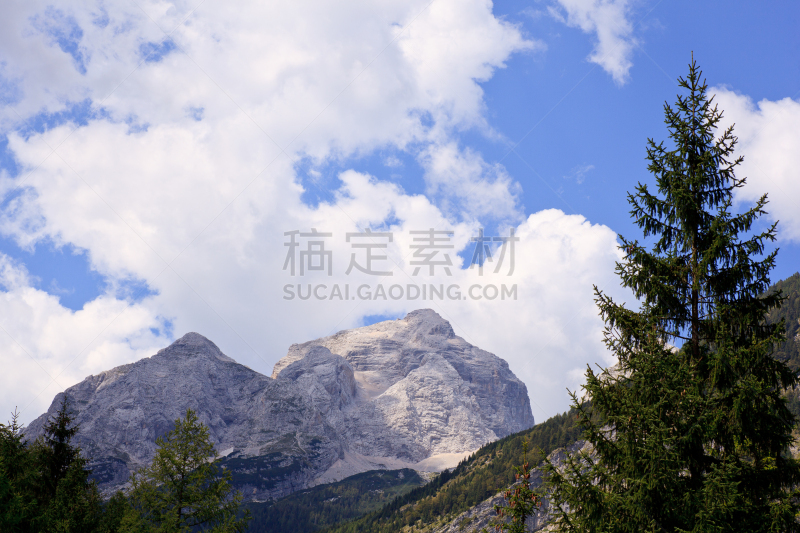 julian alps,自然,草地,宁静,非都市风光,水平画幅,地形,木制,无人,欧洲