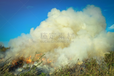 泥炭,悲剧面具,干的,木制,田地,泉,背景,早晨,燃烧