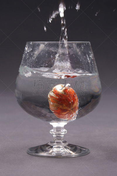 十全利口酒杯,花茶,垂直画幅,球体,灰色背景,无人,水滴,溅,摄影