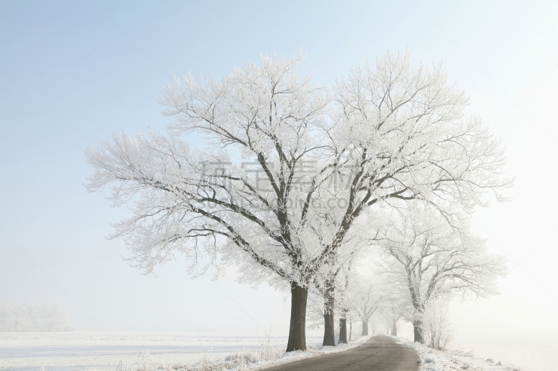 冬天,泳道,天空,雪,早晨,纯净,完美,明亮,超自然,四季