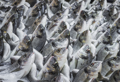 海产,货亭,碎冰,Gilthead Bream,食物战,海豚鱼,海鲷,雅典,章鱼