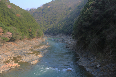 katsura,河流,岚山,自然,水平画幅,无人,日本,户外,亚洲,山谷