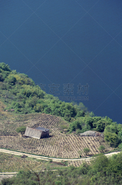 湖,法国,萨瓦,葡萄园,垂直画幅,张伯伦,有蔓植物,无人,欧洲,摄影