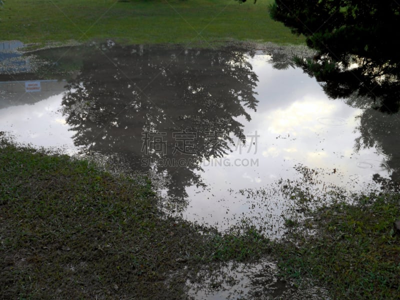 水灾,暴风雨,派克大街,地下水,水坑,水,公园,水平画幅,林区,无人