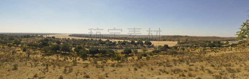 林波波省,猴面包树,南非,金合欢树,河流,沙漠,横越,辫状