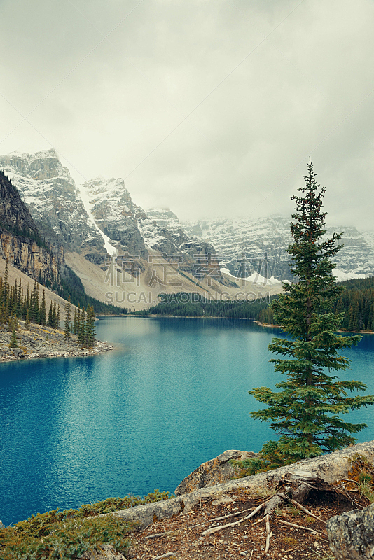 梦莲湖,班夫,自然,垂直画幅,图像,国家公园,阿尔伯塔省,加拿大,无人,湖