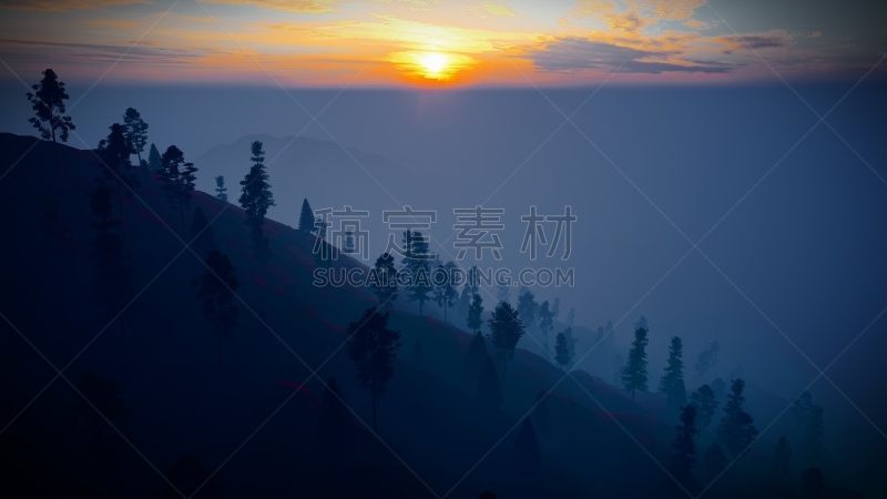 森林,航拍视角,俄亥俄河,阿拉斯加,航空器拍摄视角,波兰,环境,环境保护,加拿大,枝繁叶茂