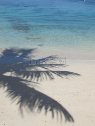 水,阴影,棕榈树,海滩,水鸭,白沙国家纪念馆,ambergris caye,伯利兹,垂直画幅,沙子