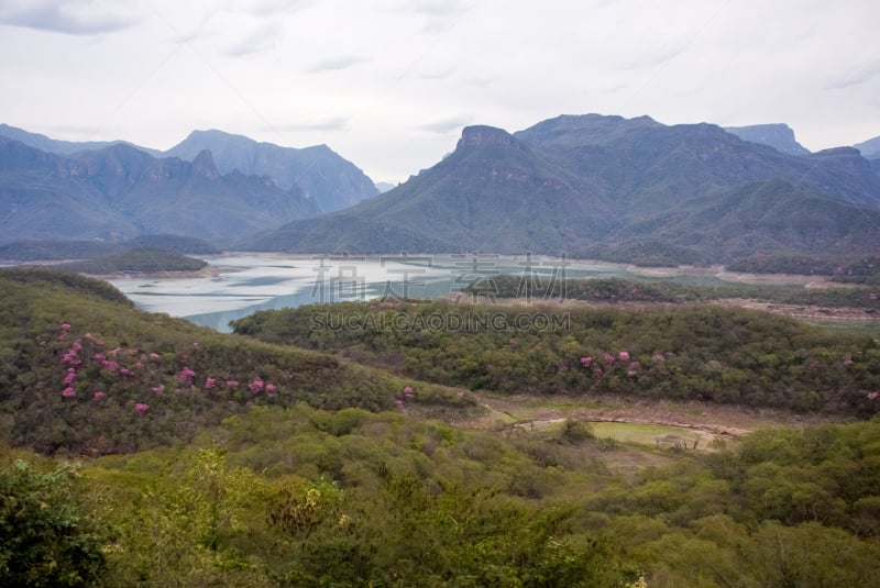 墨西哥,库普尔峡谷,旅行者,绿色,铜,著名景点,地质学,美,背景,塔拉胡拉人