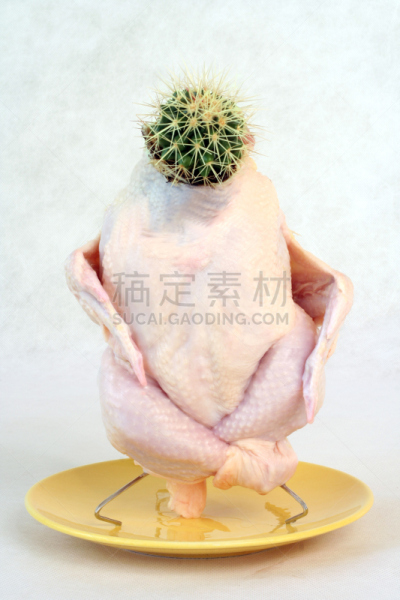 吃我(文字),潘塔纳尔湿地,汉族,垂直画幅,机敏,无人,鸟类,科学实验,肉,植物