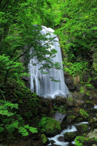 瀑布,夏天,自然,垂直画幅,水,北盐原,福岛里,无人,日本,福岛县