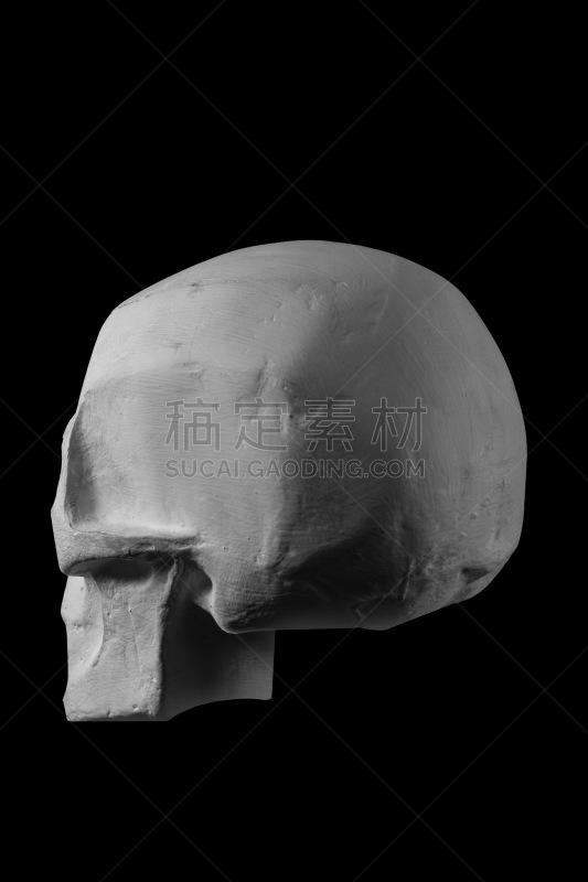 plaster statue of a human skull and head with an angular outline graphic.