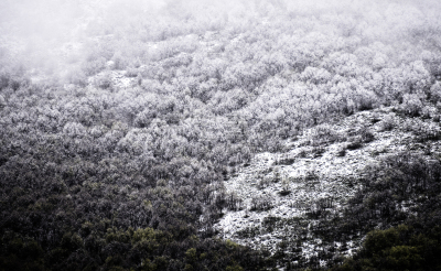 犹他,春天,2018,天空,美国西部,水平画幅,雪,无人,早晨,户外