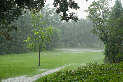雨,水,风,暴风雨,水平画幅,暴雨,湿,草坪,夏天,阴影