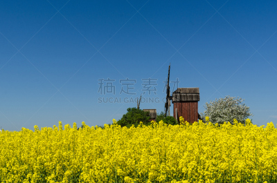 田地,木制,芸苔,花朵,风轮机,垂直画幅,天空,美,风,水平画幅