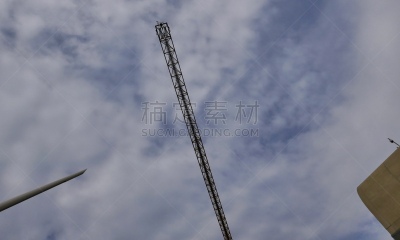 式样,环境,气候,复叶,自然美,洛杉矶飞机场,树冠,沙漠,热带树,天空