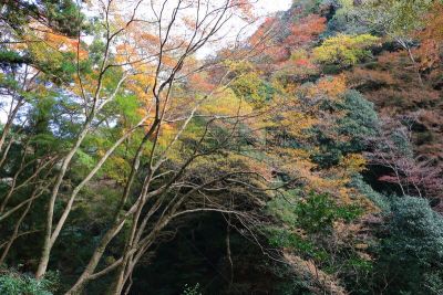 秋天,日本,大阪府,美浓,箕面市,水平画幅,地形,景观设计,瀑布,无人