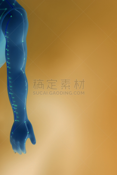 针灸模型,健康保健,手,黄色背景,针灸师,压力点,针灸,垂直画幅,躯干,胸部
