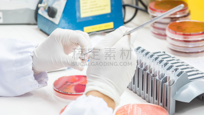 细菌,健康保健,易接近性,特写,技术员,餐具,风,水平画幅,微生物学,无人