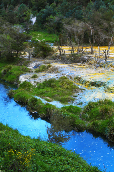 矿物质,waimangu thermal park,罗托鲁阿,硫磺,间歇泉,垂直画幅,水,岩层,石灰石,草